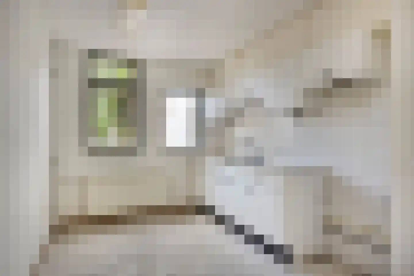 Ruygekroft 5 Egmond-Binnen thumbnail 13