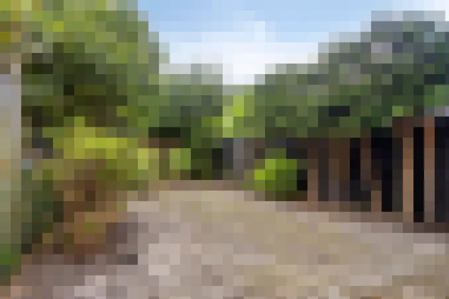 Ruygekroft 5 Egmond-Binnen thumbnail 36