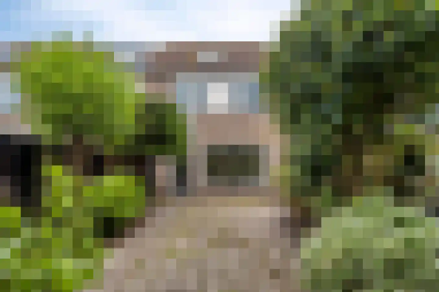 Ruygekroft 5 Egmond-Binnen thumbnail 37