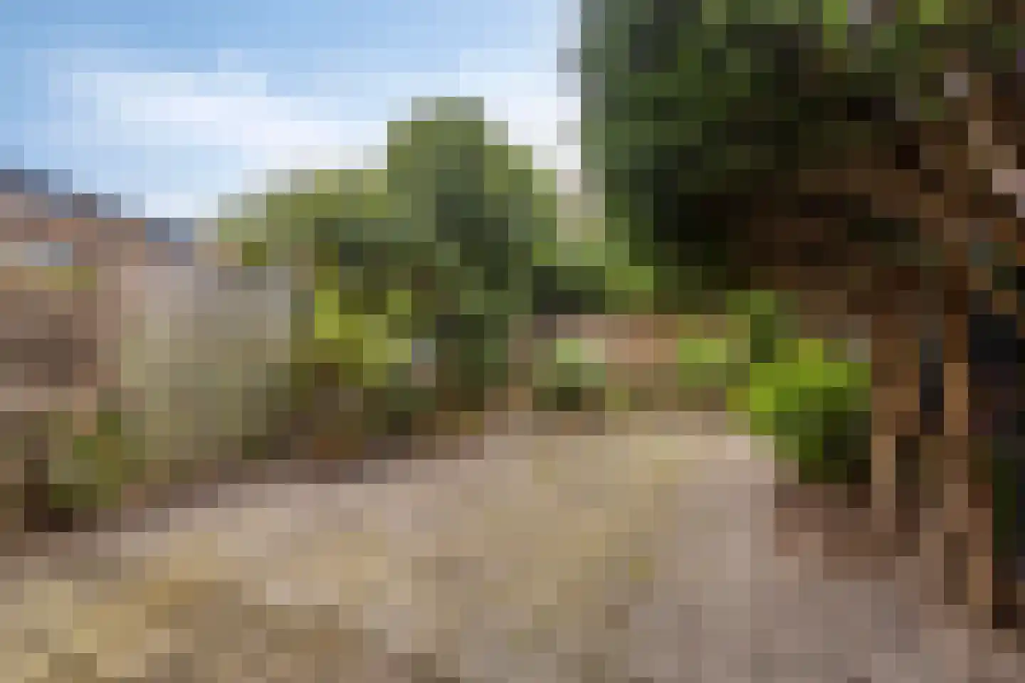 Ruygekroft 5 Egmond-Binnen thumbnail 38