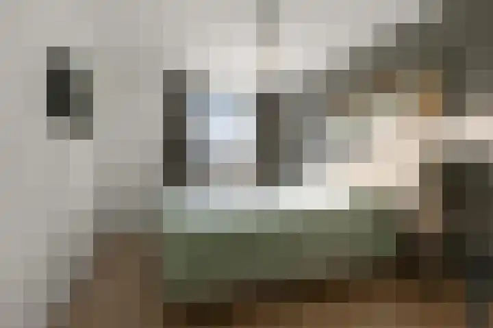 Ruygenborch 11 Zevenhoven thumbnail 20