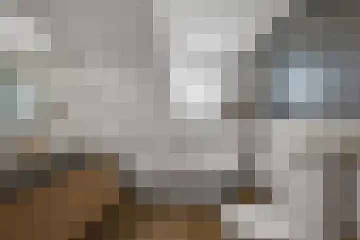 Ruygenborch 11 Zevenhoven thumbnail 23