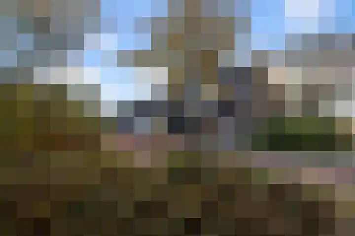 Ruygenborch 11 Zevenhoven thumbnail 29