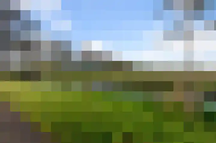 Ruygenborch 11 Zevenhoven thumbnail 33