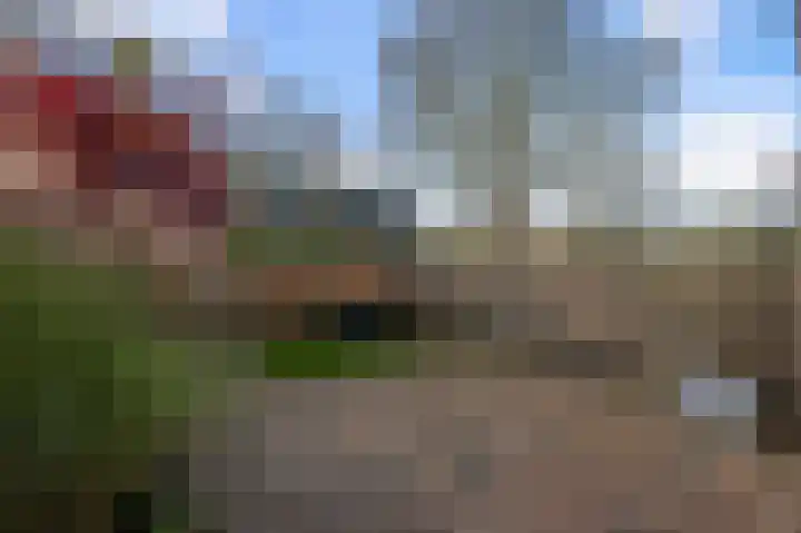 Ruygenborch 11 Zevenhoven thumbnail 36