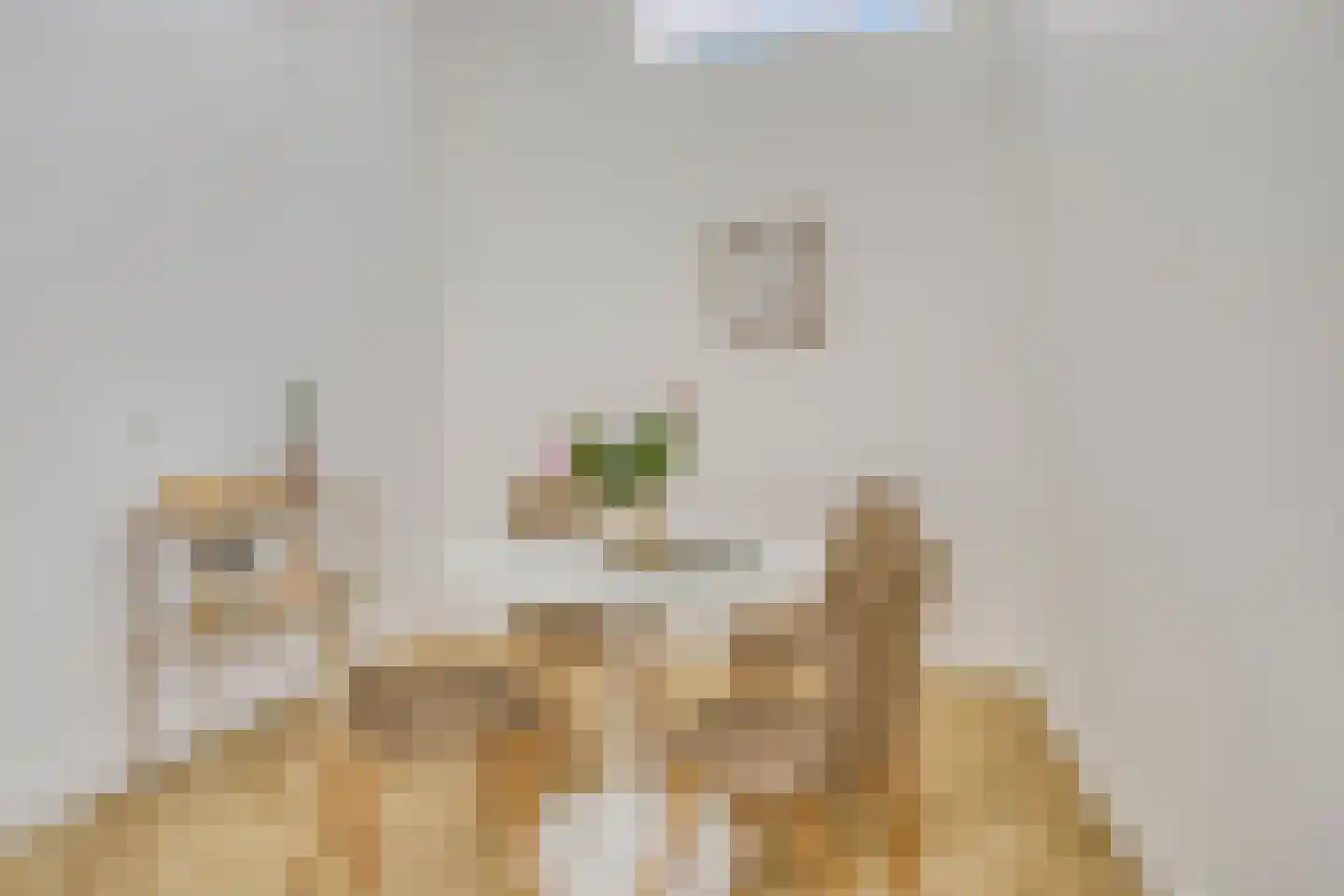 Ruygenhoeklaan 1 A Utrecht thumbnail 13