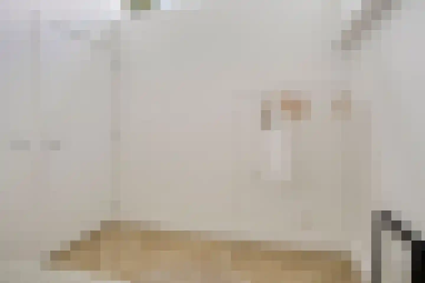 Ruygenhoeklaan 1 A Utrecht thumbnail 24
