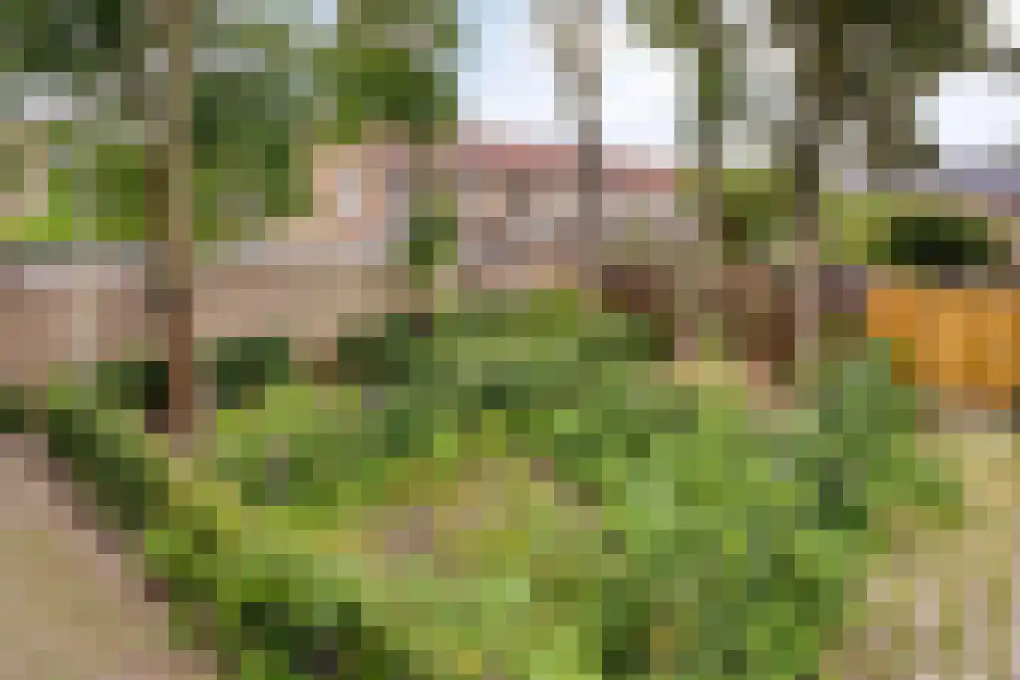 Ruygenhoeklaan 1 A Utrecht thumbnail 36