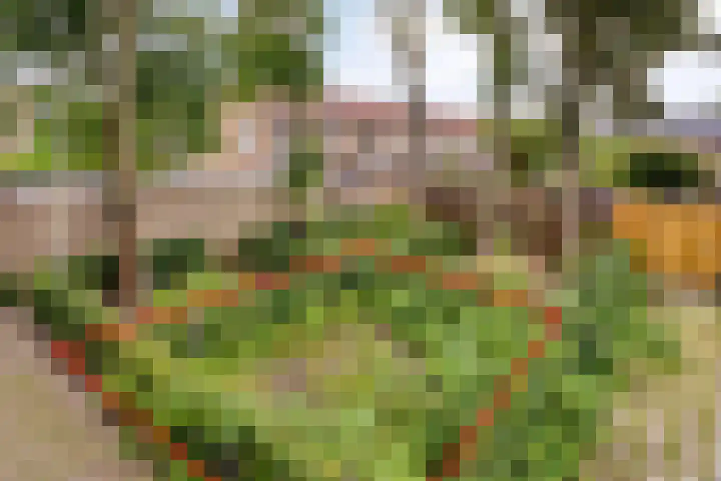 Ruygenhoeklaan 1 A Utrecht thumbnail 37