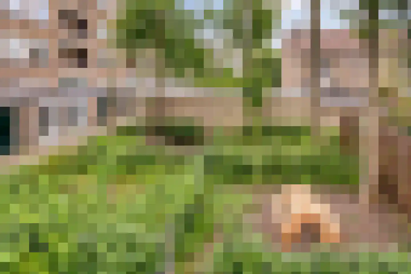 Ruygenhoeklaan 1 A Utrecht thumbnail 38