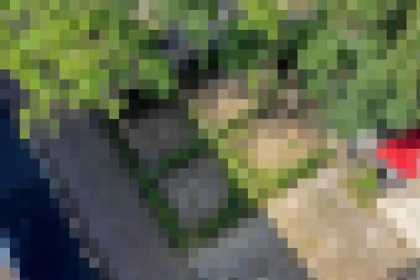 Ruygenhoeklaan 1 A Utrecht thumbnail 39