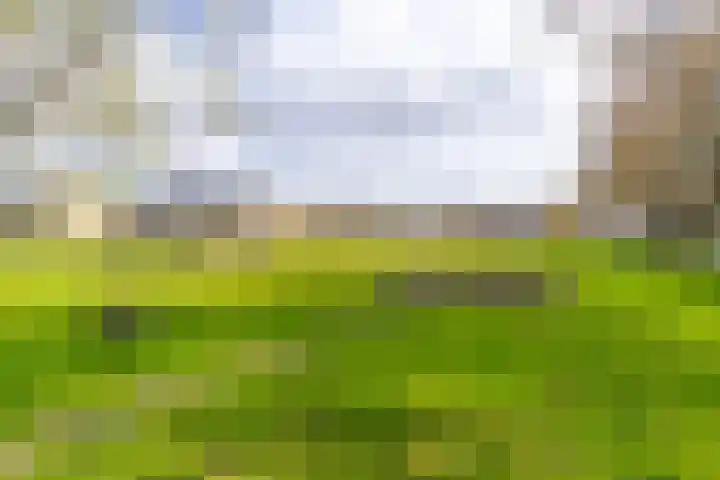 Ruygenhoeklaan 10 3 Utrecht thumbnail 26