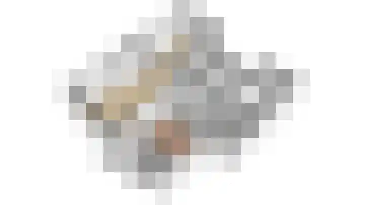 Ruygenhoeklaan 10 3 Utrecht thumbnail 30