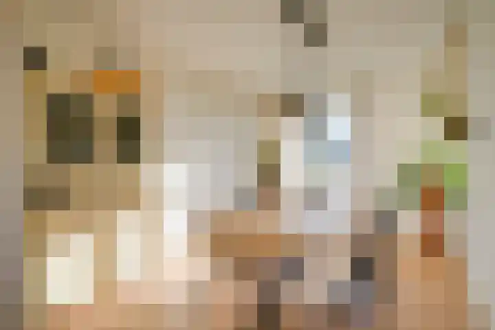 Ruygenhoeklaan 10 3 Utrecht thumbnail 6