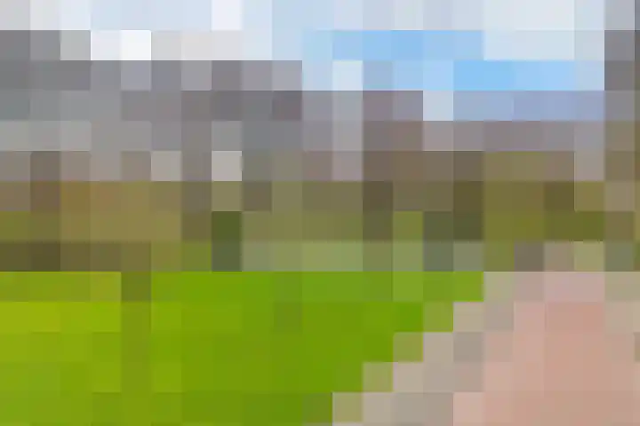 Ruygenhoeklaan 10 Utrecht thumbnail 38
