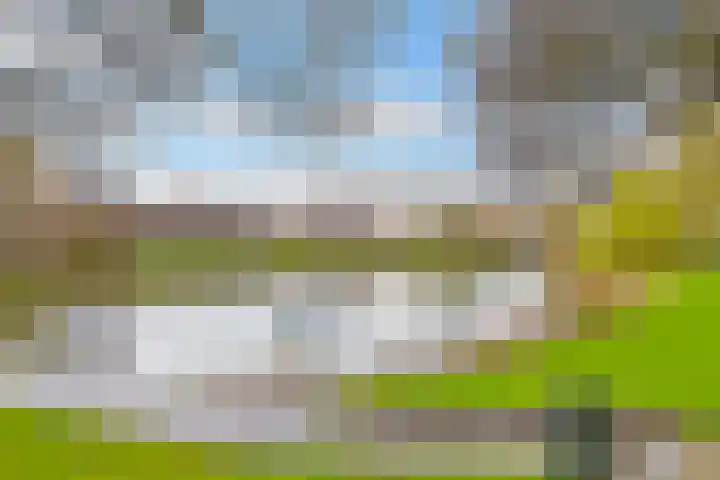 Ruygenhoeklaan 10 Utrecht thumbnail 39