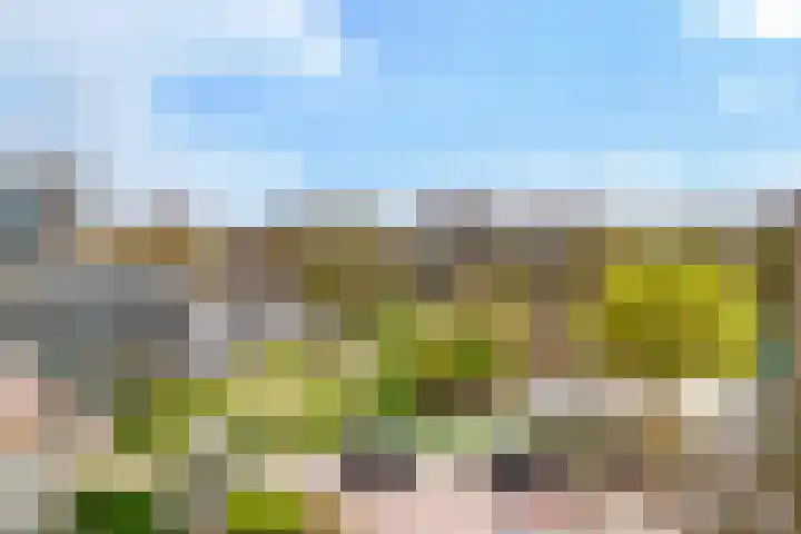 Ruygenhoeklaan 10 Utrecht thumbnail 41