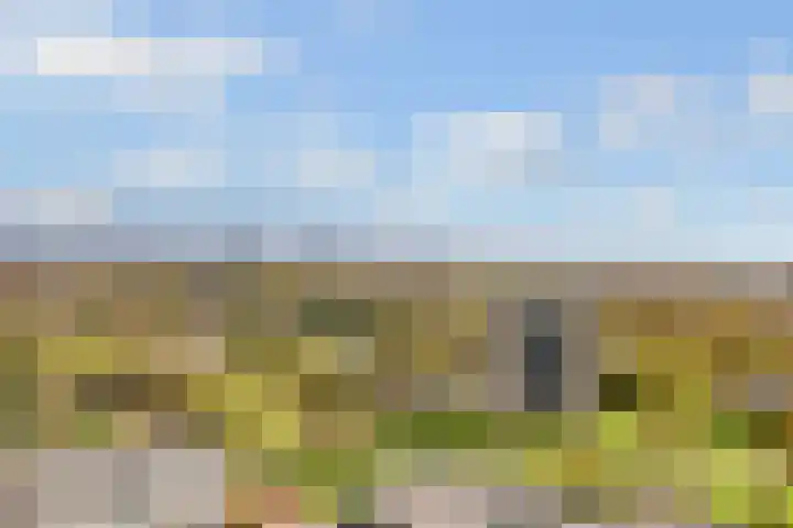 Ruygenhoeklaan 10 Utrecht thumbnail 42