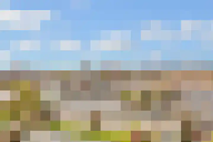 Ruygenhoeklaan 10 Utrecht thumbnail 43