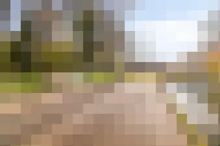 Ruygenhoeklaan 13 A Utrecht thumbnail 38
