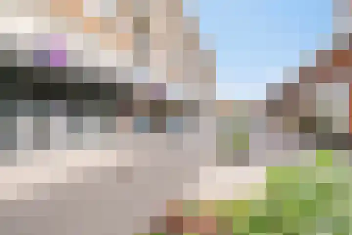 Ruygenhoeklaan 13 A Utrecht thumbnail 39