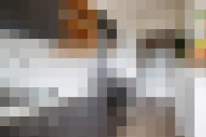 Ruygenhoeklaan 14 Utrecht thumbnail 10