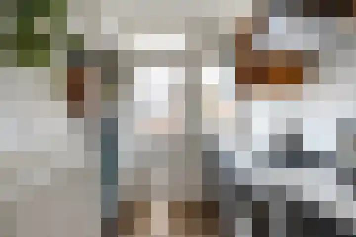 Ruygenhoeklaan 14 Utrecht thumbnail 11