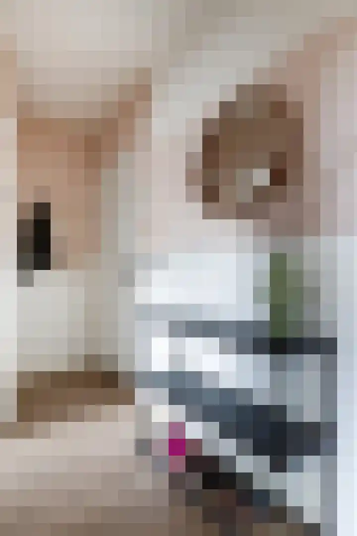 Ruygenhoeklaan 14 Utrecht thumbnail 16