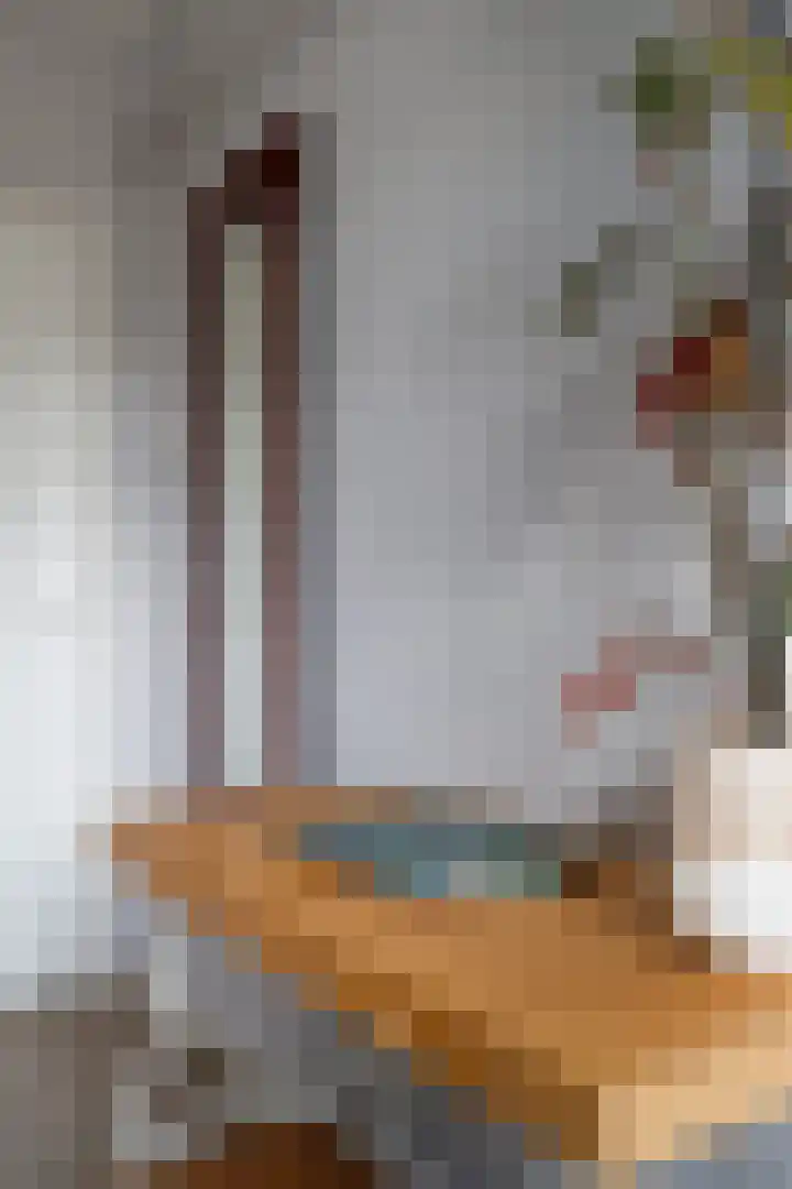 Ruygenhoeklaan 14 Utrecht thumbnail 19