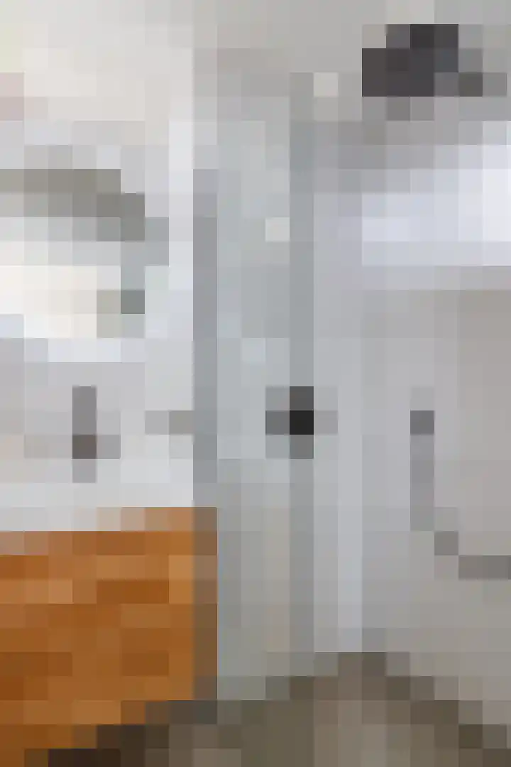 Ruygenhoeklaan 14 Utrecht thumbnail 20