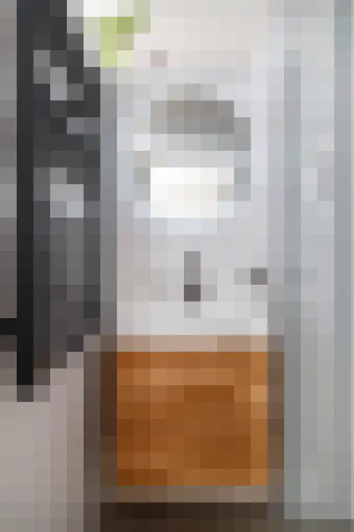 Ruygenhoeklaan 14 Utrecht thumbnail 21