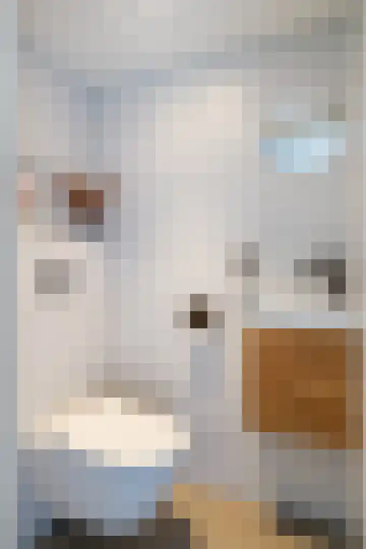 Ruygenhoeklaan 14 Utrecht thumbnail 23