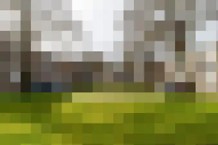 Ruygenhoeklaan 14 Utrecht thumbnail 26