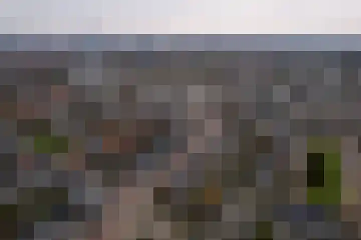 Ruygenhoeklaan 14 Utrecht thumbnail 29