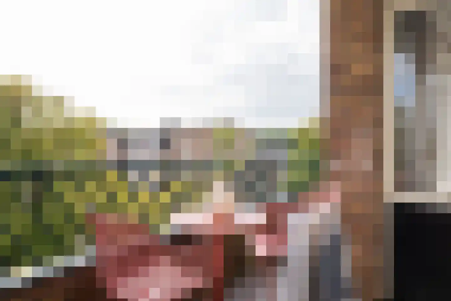 Ruygenhoeklaan 15 2 Utrecht thumbnail 14