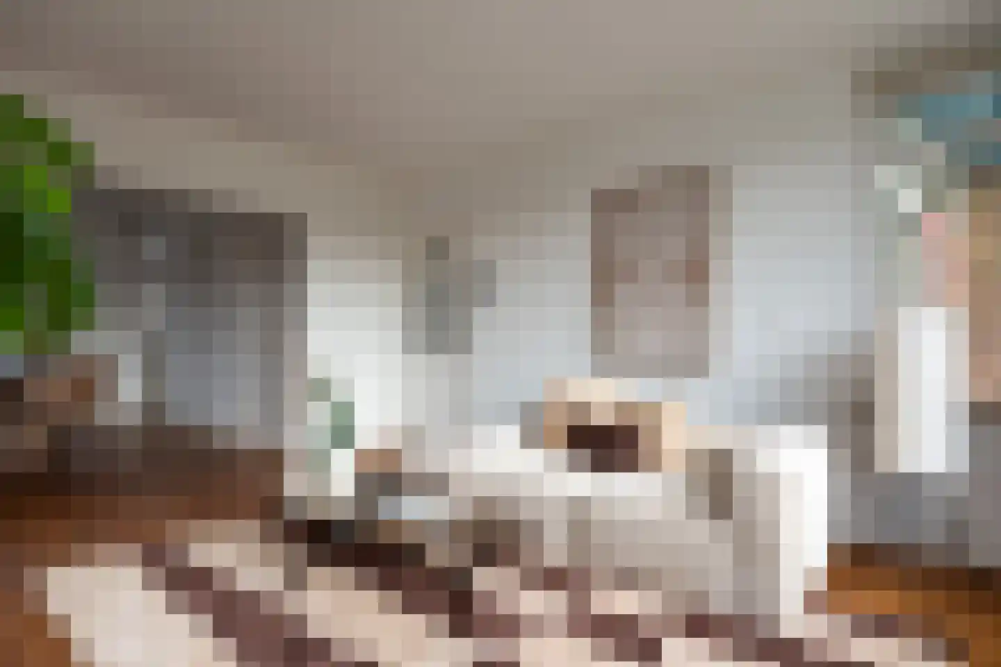 Ruygenhoeklaan 15 2 Utrecht thumbnail 5