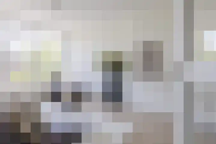 Ruygenhoeklaan 3 1 Utrecht thumbnail 10