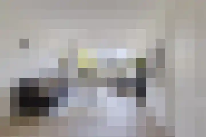 Ruygenhoeklaan 3 1 Utrecht thumbnail 11