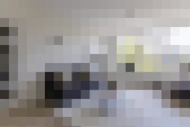 Ruygenhoeklaan 3 1 Utrecht thumbnail 12
