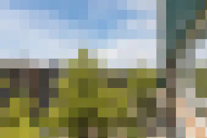 Ruygenhoeklaan 3 1 Utrecht thumbnail 15