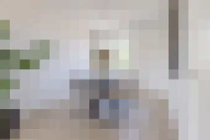 Ruygenhoeklaan 3 1 Utrecht thumbnail 18