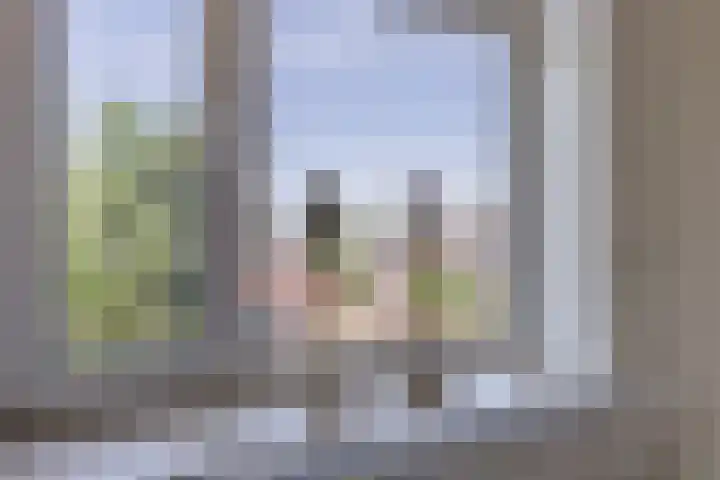 Ruygenhoeklaan 3 1 Utrecht thumbnail 19