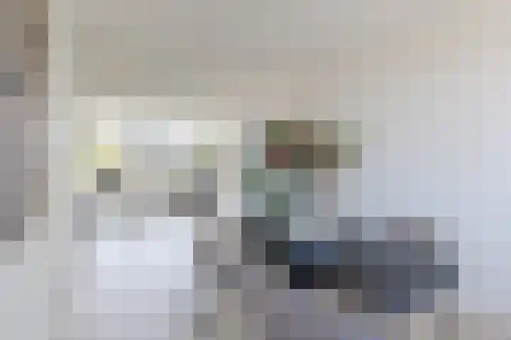 Ruygenhoeklaan 3 1 Utrecht thumbnail 21