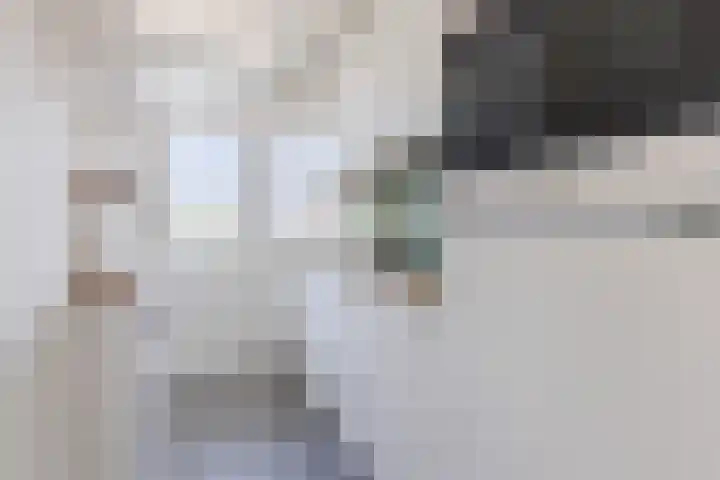 Ruygenhoeklaan 3 1 Utrecht thumbnail 22