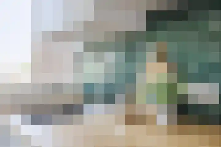 Ruygenhoeklaan 3 1 Utrecht thumbnail 23