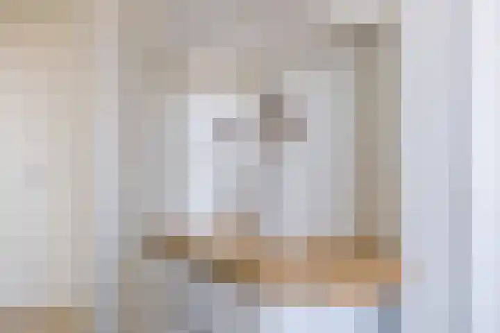 Ruygenhoeklaan 3 1 Utrecht thumbnail 30