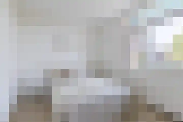 Ruygenhoeklaan 3 1 Utrecht thumbnail 31