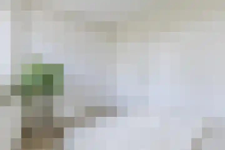 Ruygenhoeklaan 3 1 Utrecht thumbnail 33