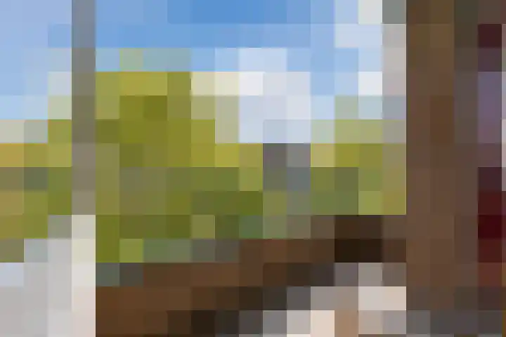 Ruygenhoeklaan 3 1 Utrecht thumbnail 4