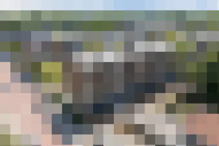 Ruygenhoeklaan 3 1 Utrecht thumbnail 45